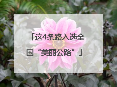 这4条路入选全国“美丽公路”