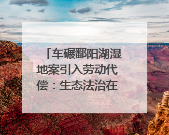 车碾鄱阳湖湿地案引入劳动代偿：生态法治在创新尝试｜有一说一