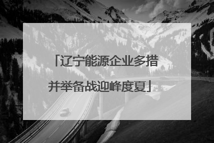 辽宁能源企业多措并举备战迎峰度夏