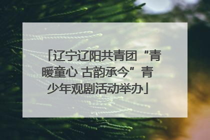 辽宁辽阳共青团“青暖童心 古韵承今”青少年观剧活动举办