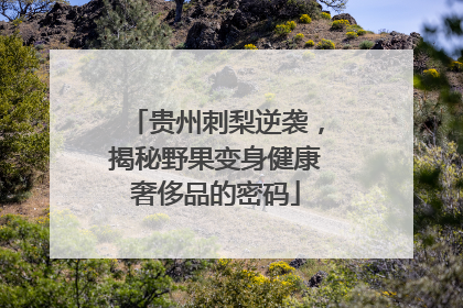 贵州刺梨逆袭，揭秘野果变身健康奢侈品的密码