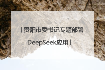 贵阳市委书记专题部署DeepSeek应用