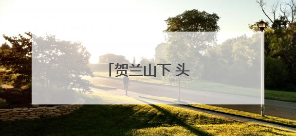贺兰山下 头茬枸杞迎丰收