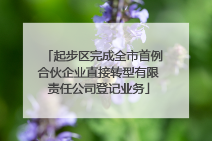 起步区完成全市首例合伙企业直接转型有限责任公司登记业务