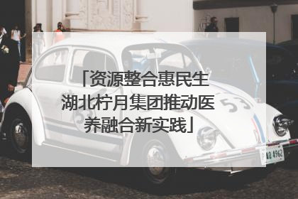 资源整合惠民生 湖北柠月集团推动医养融合新实践