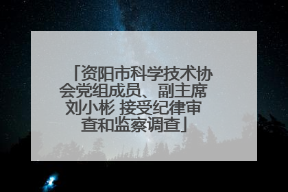 资阳市科学技术协会党组成员、副主席刘小彬 接受纪律审查和监察调查