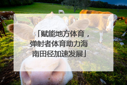 赋能地方体育，弹射者体育助力海南田径加速发展