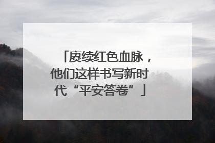 赓续红色血脉，他们这样书写新时代“平安答卷”