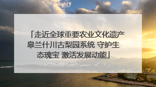 走近全球重要农业文化遗产皋兰什川古梨园系统 守护生态瑰宝 激活发展动能