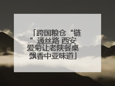 跨国粮仓“链”通丝路 西安爱菊让老陕餐桌飘香中亚味道