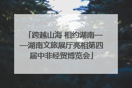 跨越山海 相约湖南——湖南文旅展厅亮相第四届中非经贸博览会
