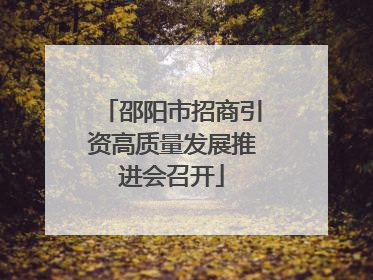 邵阳市招商引资高质量发展推进会召开