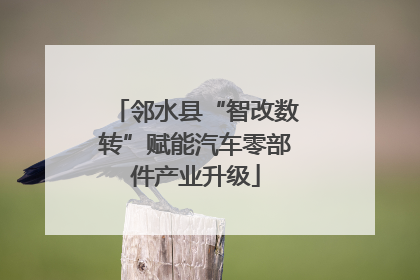 邻水县“智改数转”赋能汽车零部件产业升级