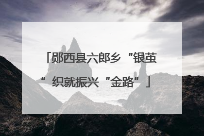 郧西县六郎乡“银茧”织就振兴“金路”