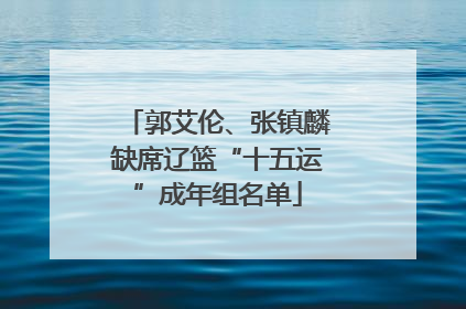 郭艾伦、张镇麟缺席辽篮“十五运”成年组名单
