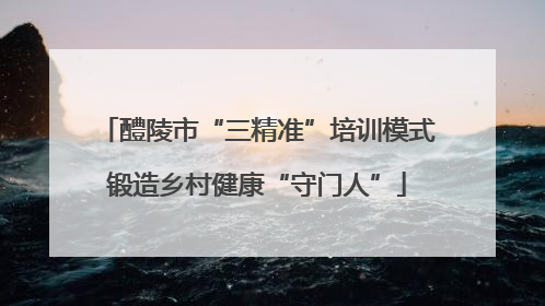 醴陵市“三精准”培训模式锻造乡村健康“守门人”