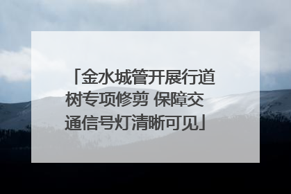 金水城管开展行道树专项修剪 保障交通信号灯清晰可见