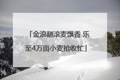 金浪翻滚麦飘香 乐至4万亩小麦抢收忙