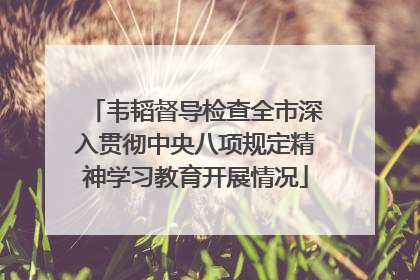 韦韬督导检查全市深入贯彻中央八项规定精神学习教育开展情况
