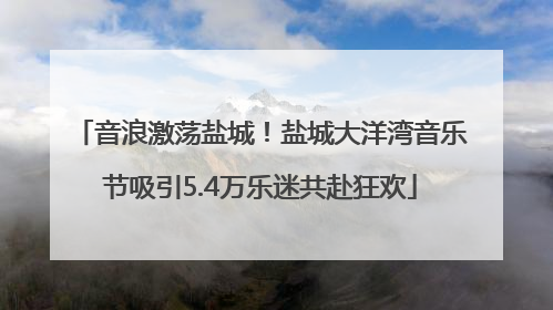 音浪激荡盐城！盐城大洋湾音乐节吸引5.4万乐迷共赴狂欢