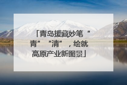 青岛援藏妙笔“青”“清”，绘就高原产业新图景