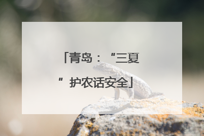 青岛：“三夏”护农话安全