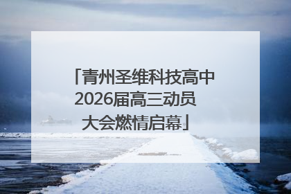 青州圣维科技高中2026届高三动员大会燃情启幕