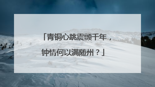 青铜心跳震颤千年，钟情何以满随州？