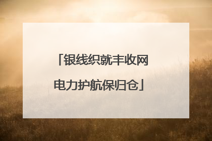 银线织就丰收网 电力护航保归仓
