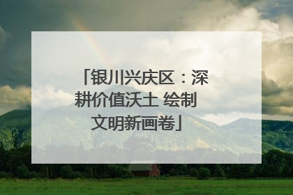 银川兴庆区：深耕价值沃土 绘制文明新画卷