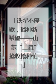 铁犁不停歇，播种新希望——山东“三夏”抢收抢种忙