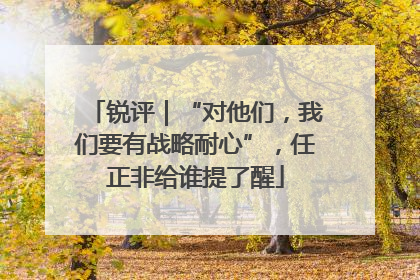 锐评｜“对他们，我们要有战略耐心”，任正非给谁提了醒