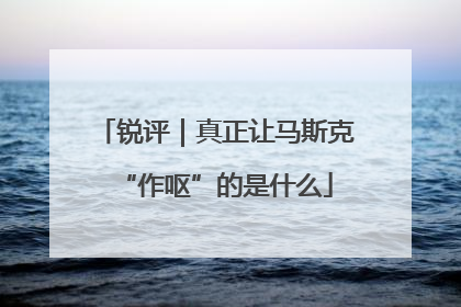 锐评｜真正让马斯克“作呕”的是什么