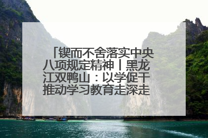 锲而不舍落实中央八项规定精神丨黑龙江双鸭山：以学促干推动学习教育走深走实 从小事入手写好“民生答卷”