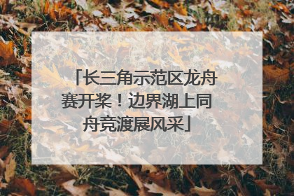 长三角示范区龙舟赛开桨！边界湖上同舟竞渡展风采