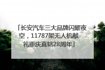 长安汽车三大品牌闪耀夜空，11787架无人机献礼重庆直辖28周年