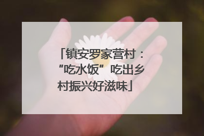 镇安罗家营村：“吃水饭”吃出乡村振兴好滋味