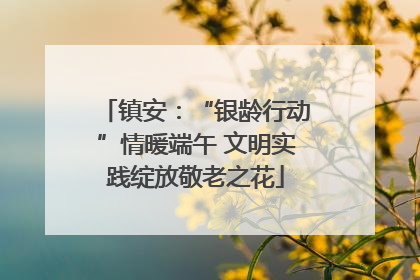 镇安：“银龄行动”情暖端午 文明实践绽放敬老之花