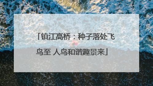镇江高桥：种子落处飞鸟至 人鸟和谐趣景来