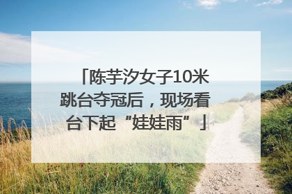 陈芋汐女子10米跳台夺冠后，现场看台下起“娃娃雨”
