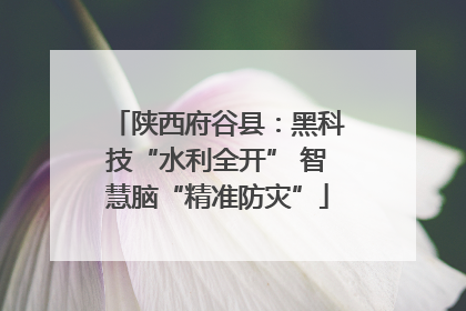陕西府谷县：黑科技“水利全开” 智慧脑“精准防灾”
