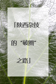 陕西杂技的“破圈”之路