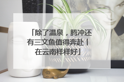 除了温泉，腾冲还有三文鱼值得奔赴丨在云南样样好
