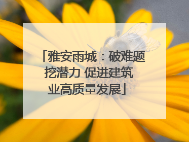 雅安雨城：破难题 挖潜力 促进建筑业高质量发展