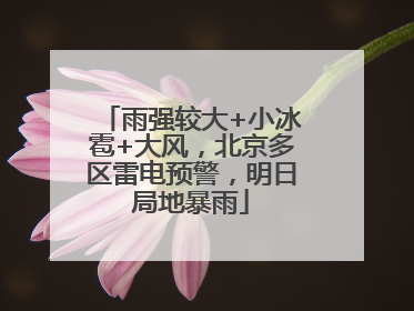 雨强较大+小冰雹+大风，北京多区雷电预警，明日局地暴雨