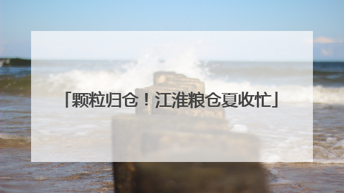 颗粒归仓！江淮粮仓夏收忙