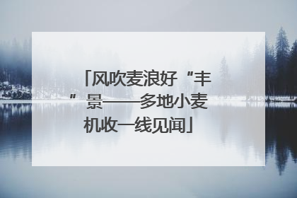 风吹麦浪好“丰”景——多地小麦机收一线见闻
