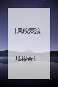 风吹麦浪 瓜果香