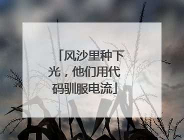 风沙里种下光，他们用代码驯服电流