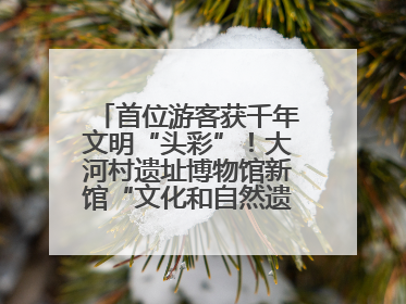 首位游客获千年文明“头彩”！大河村遗址博物馆新馆“文化和自然遗产日”璀璨启幕